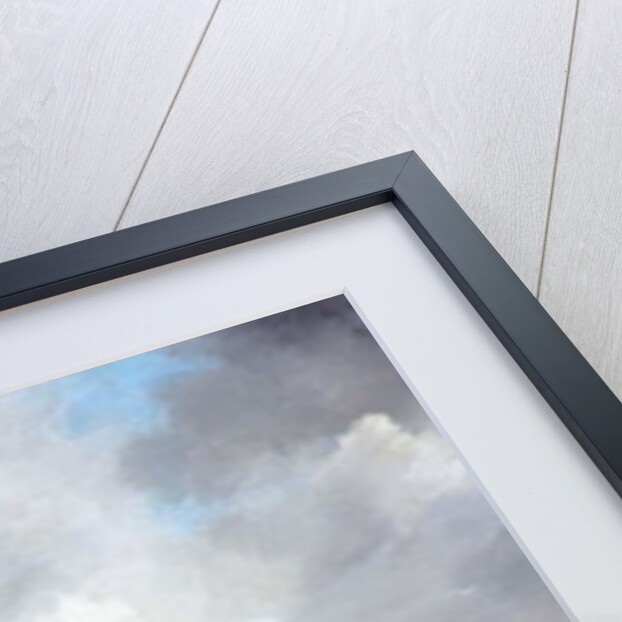 A Storm at Sea by Richard Willis