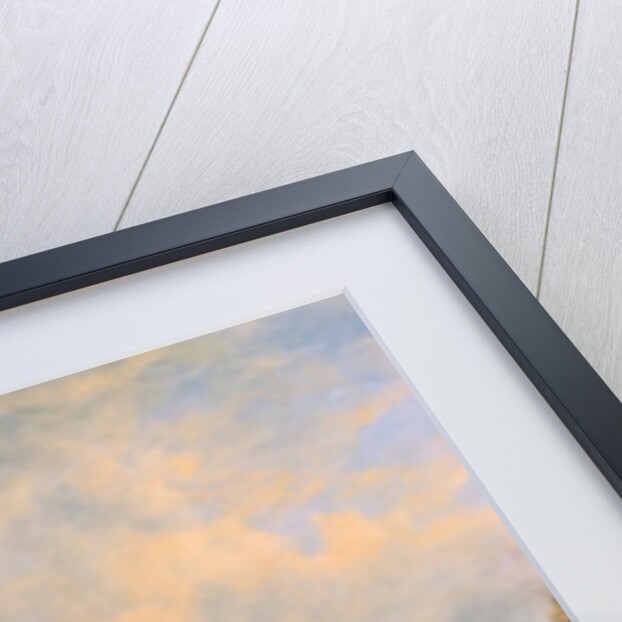 Windsor Castle: from the River Thames by Richard Willis