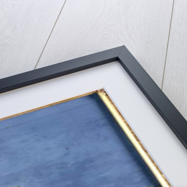 No. 11 An appaloosa horse of the Spanish Riding School by Baron Reis d' Eisenberg