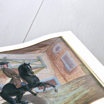 No. 36 A brown bay horse of the Spanish Riding School performing a pirouette near the ground by Baron Reis d' Eisenberg