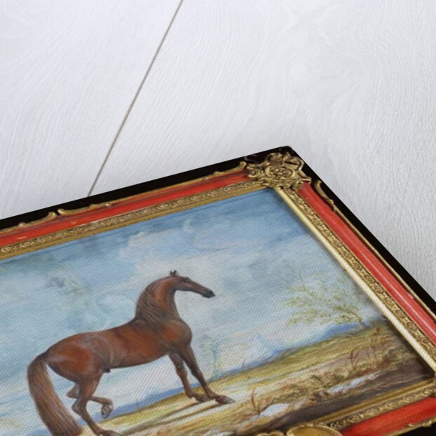 No. 2 'Alzan de Tunis', a Barbary horse of the Spanish Riding School by Baron Reis d' Eisenberg