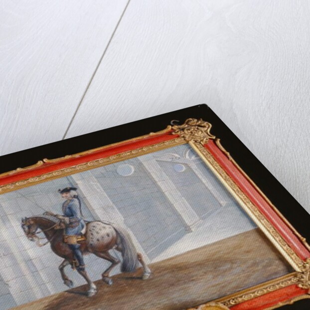 No. 20 A dapple grey horse of the Spanish Riding School performing the 'Volte' dressage step by Baron Reis d' Eisenberg