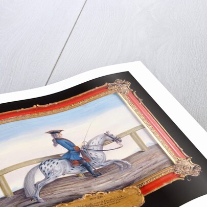 No. 29 A dappled grey horse of the Spanish Riding School performing a dressage movement by Baron Reis d' Eisenberg