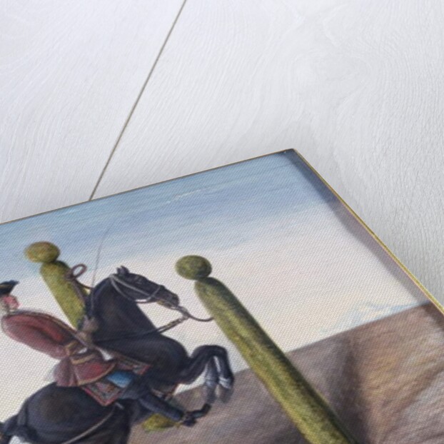 No. 46 A bay horse of the Spanish Riding School performing a dressage movement called the 'Croupade' by Baron Reis d' Eisenberg