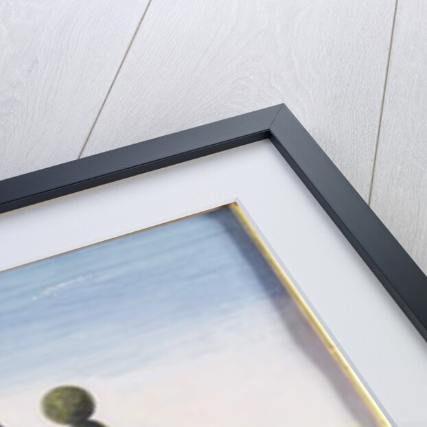 No. 46 A bay horse of the Spanish Riding School performing a dressage movement called the 'Croupade' by Baron Reis d' Eisenberg