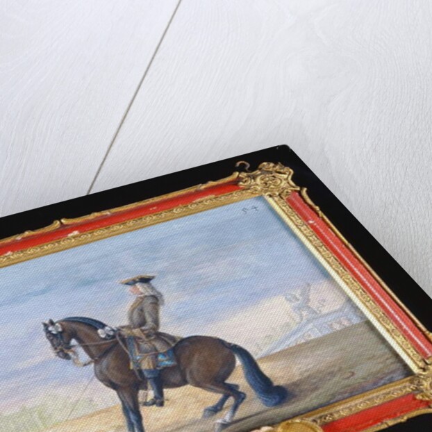 No. 54 A Danish chestnut bay horse of the Spanish Riding School performing a dressage movement by Baron Reis d' Eisenberg