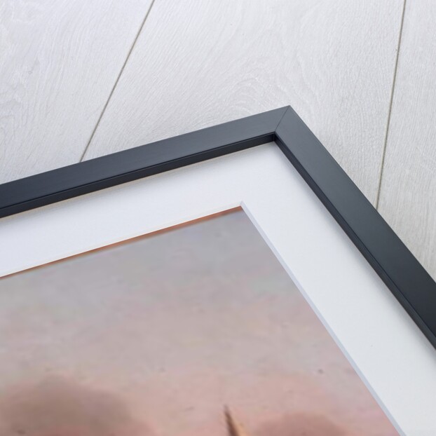 The Engagement between the Blast Sloop and two Spanish Privateers, 1745 by Samuel Scott