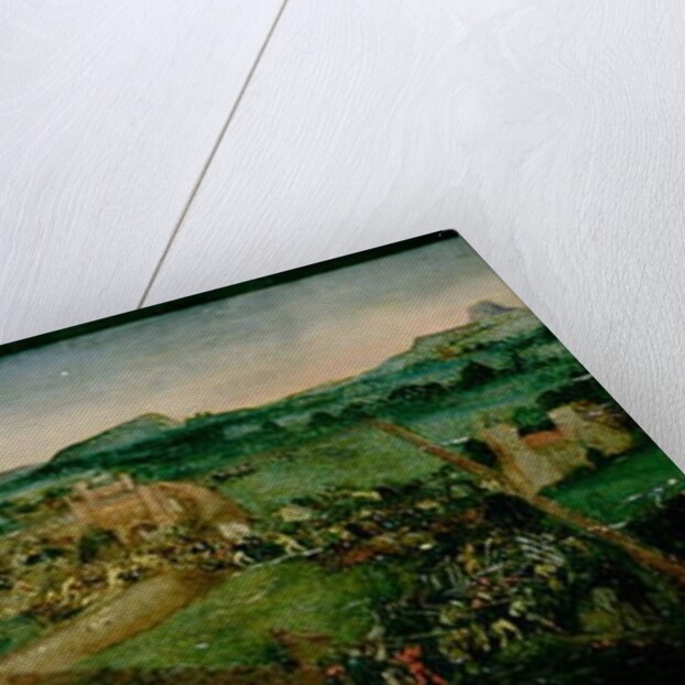 The Battle of Pavia by Joerg the Elder Breu