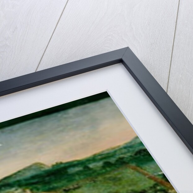 The Battle of Pavia by Joerg the Elder Breu