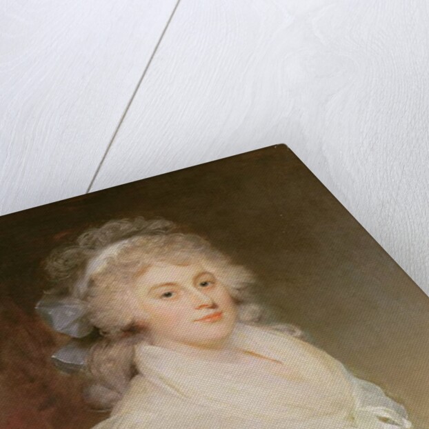 Elizabeth Beauclerk, Lady Herbert by William Beechey