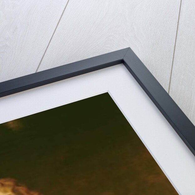 Philip, 5th Earl of Pembroke, 2nd Earl of Montgomery by Anthony van Dyck