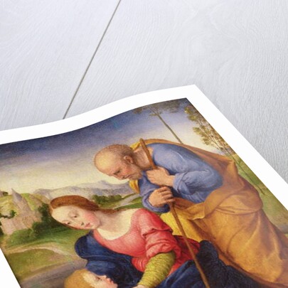 The Holy Family with the Lamb by Giovanni Francesco Penni