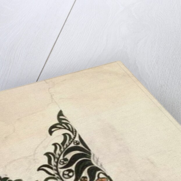 Unfinished 'Bird and Vine' wood block design for wallpaper, 1878 by William Morris