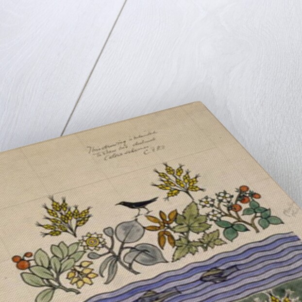 Design intended to show two distinct colour schemes by Charles Francis Annesley Voysey