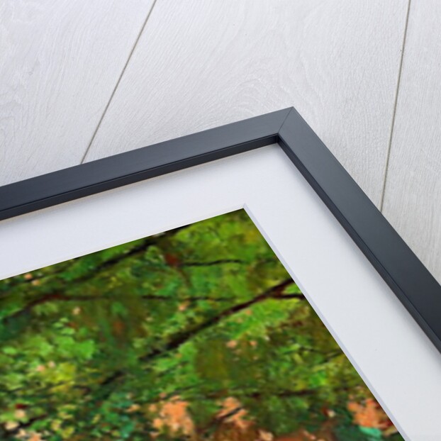 Arbour, 2003 by William Ireland