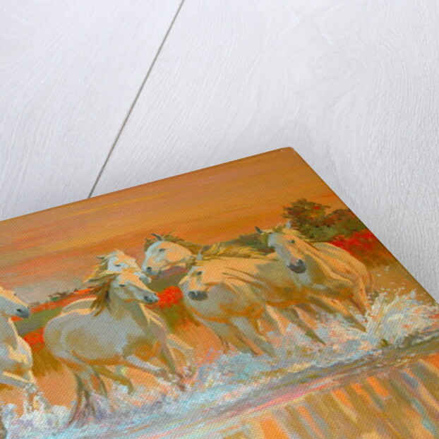 Camargue by William Ireland