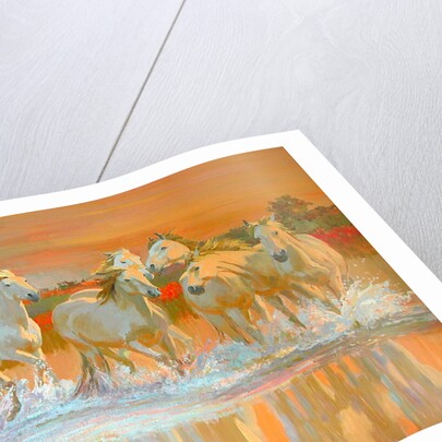 Camargue by William Ireland