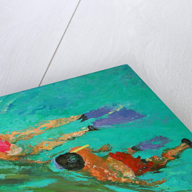 Snorkellers by William Ireland