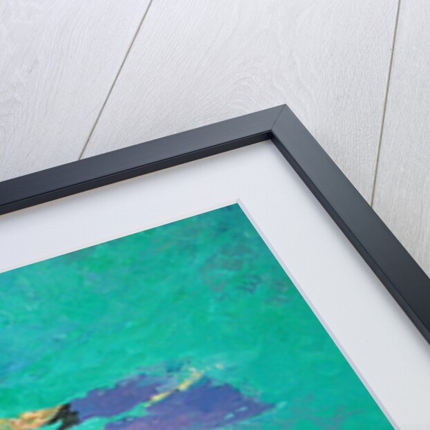 Snorkellers by William Ireland