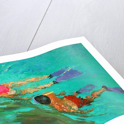 Snorkellers by William Ireland