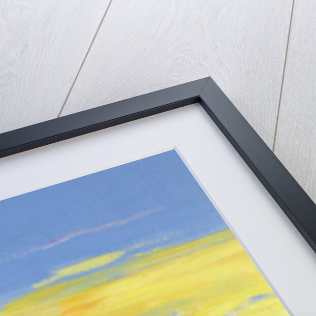 Sunseeker, 2005 by William Ireland