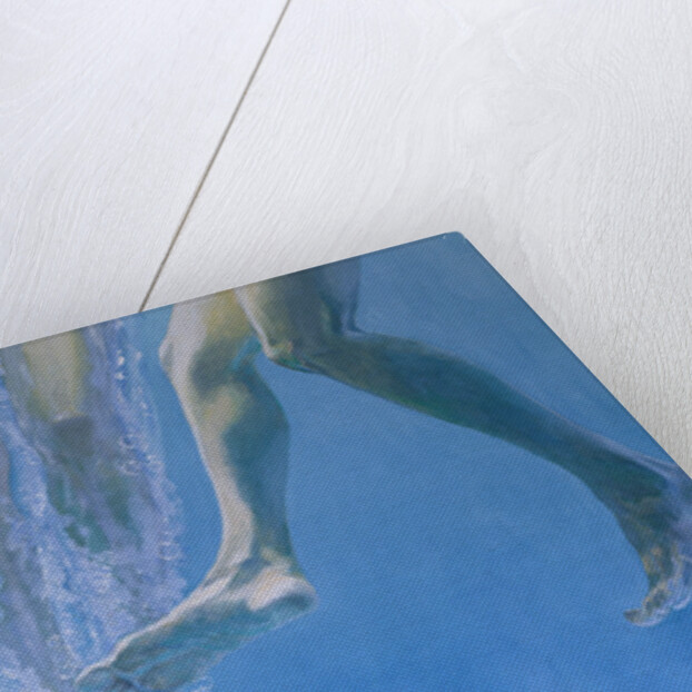 Plunge by William Ireland