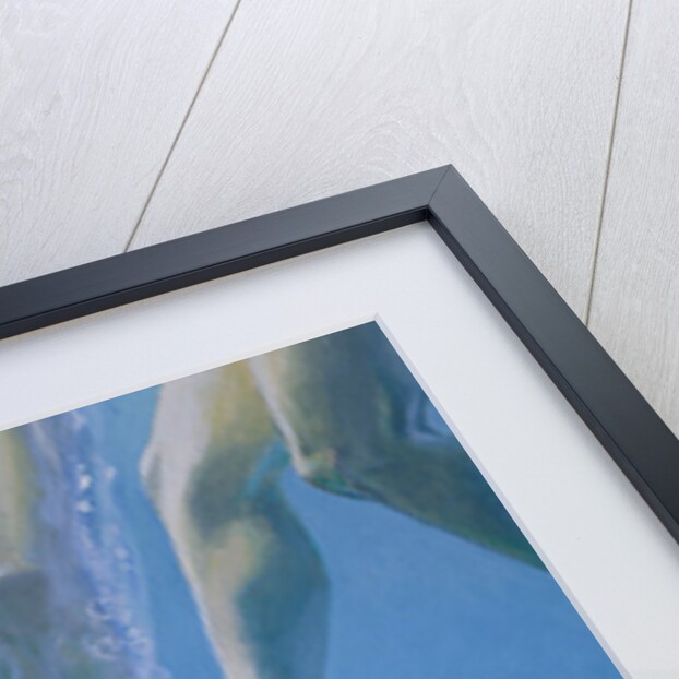 Plunge by William Ireland