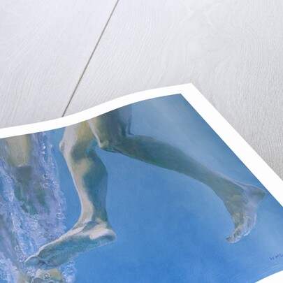 Plunge by William Ireland