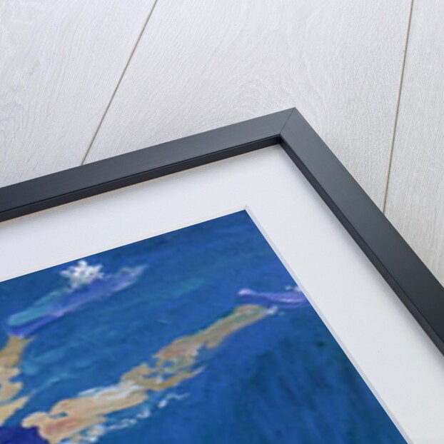 Coral II by William Ireland