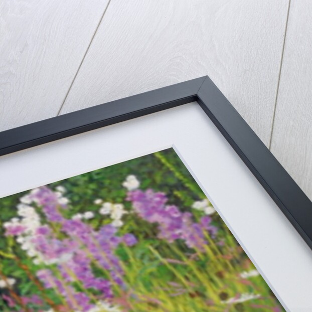 Cottage Garden, 2007/8 by William Ireland
