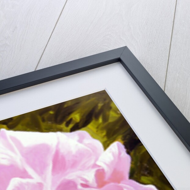 Victorian Rose by William Ireland