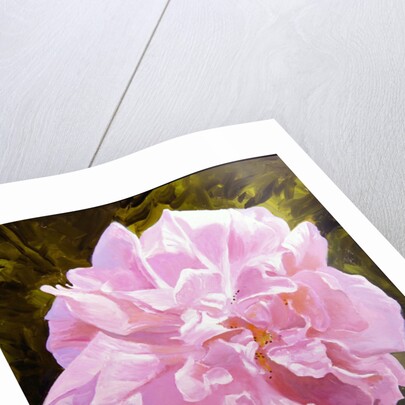 Victorian Rose by William Ireland