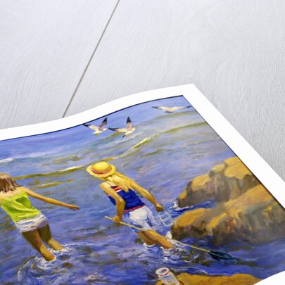 Rock Pool by William Ireland