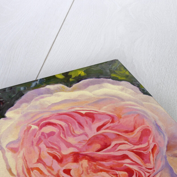 Victorian Rose by William Ireland