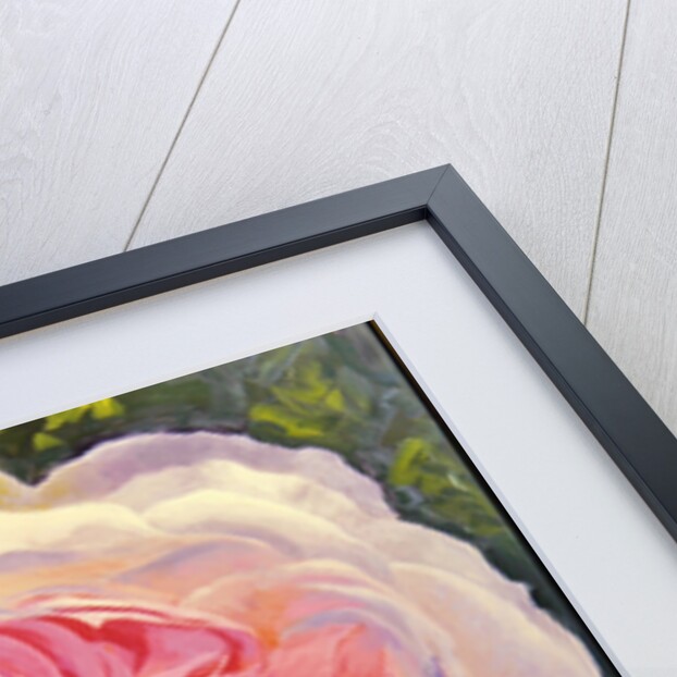 Victorian Rose by William Ireland