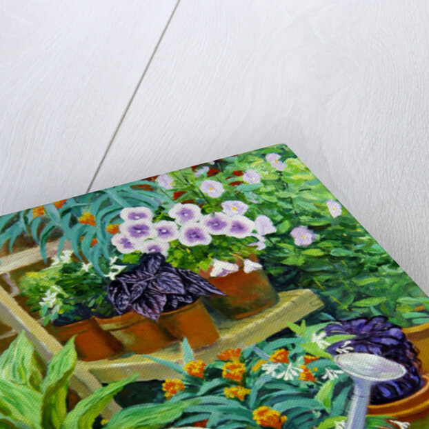 Pots by William Ireland