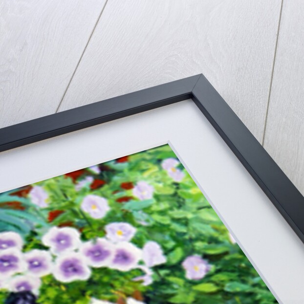 Pots by William Ireland