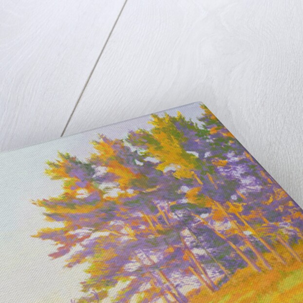 Startled by William Ireland