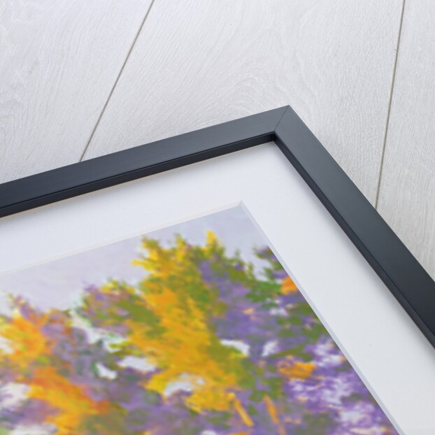 Startled by William Ireland