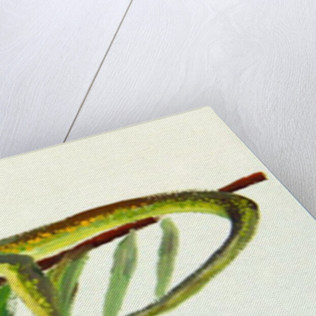 Alight by William Ireland