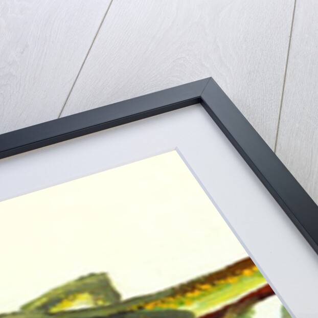 Alight by William Ireland