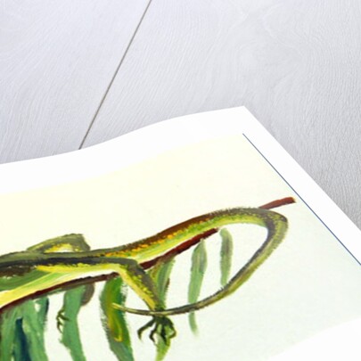 Alight by William Ireland