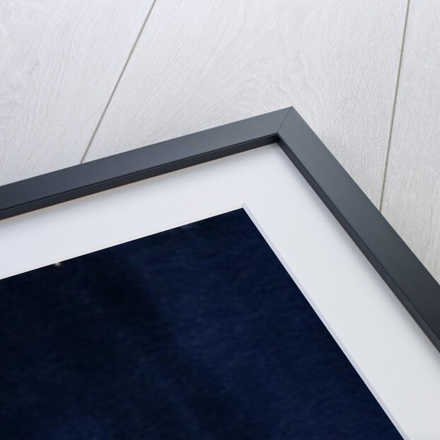 In His agony Jesus prays in Gethsemane to His Father, 2006 by Elizabeth Wang