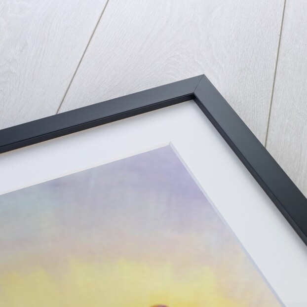 Mary and Joseph look with faith at the baby Jesus at his Nativity, 2001 by Elizabeth Wang