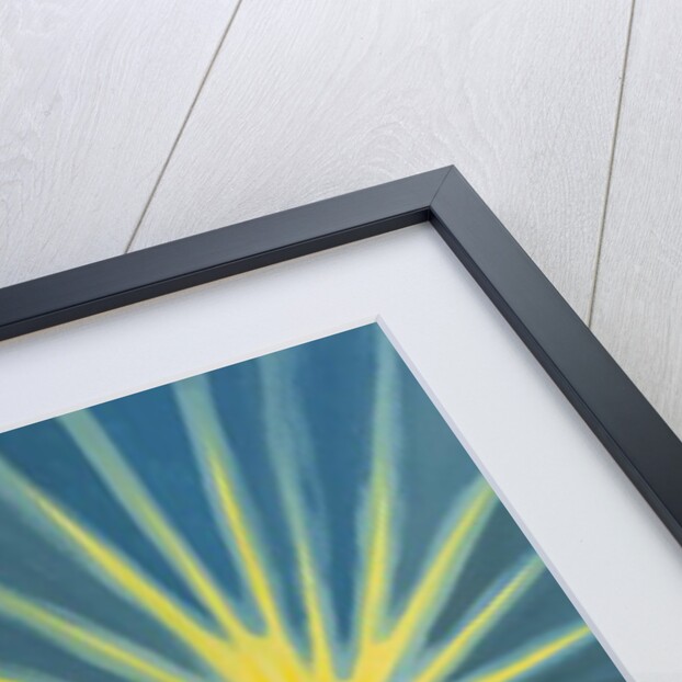 Uniting ourselves with Christ's prayer to the Father at Mass, we are sheltered by His glory, 2001 by Elizabeth Wang