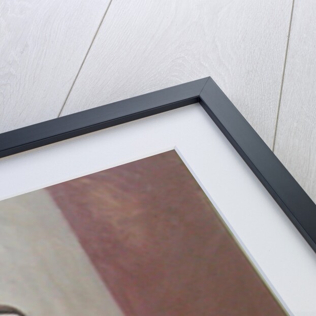 Still Life with Passion Pods by William Packer