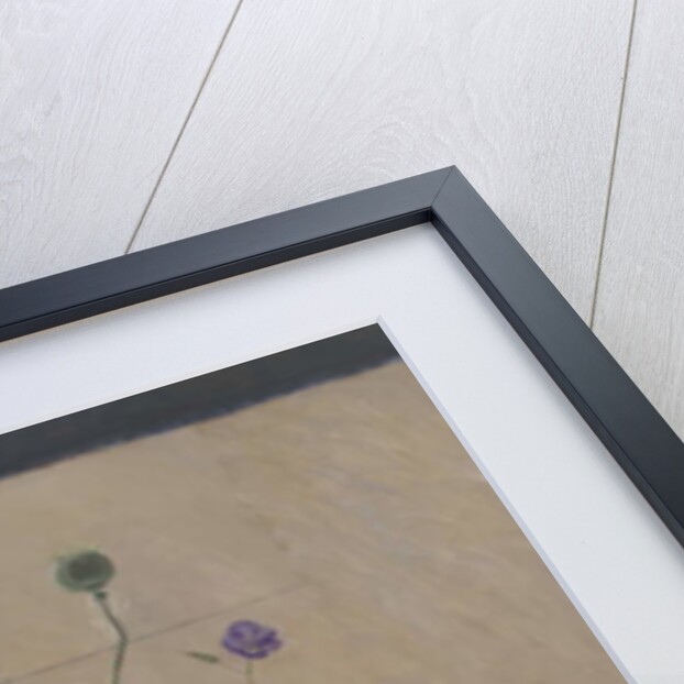 Red White Blue Seed Pods, 2008 by William Packer