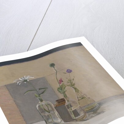 Red White Blue Seed Pods, 2008 by William Packer