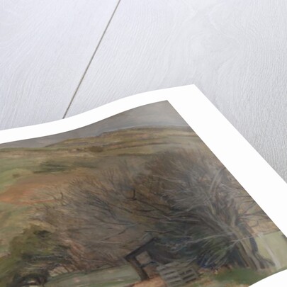 The Twampa, 1998 by William Packer