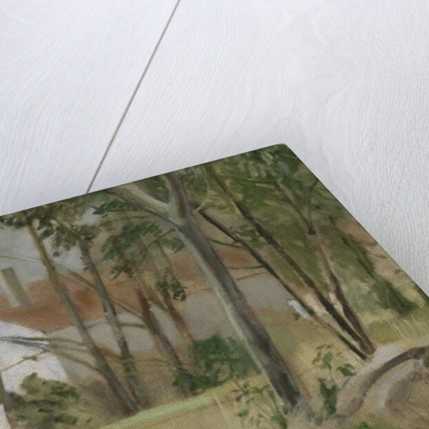 White House, 2009 by William Packer